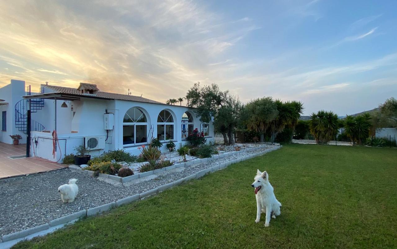 Casa Mici Holiday home Alhaurin el Grande