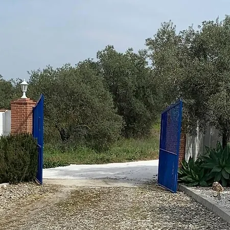 Finca Casa Mici Alhaurín el Grande Zewnętrze zdjęcie