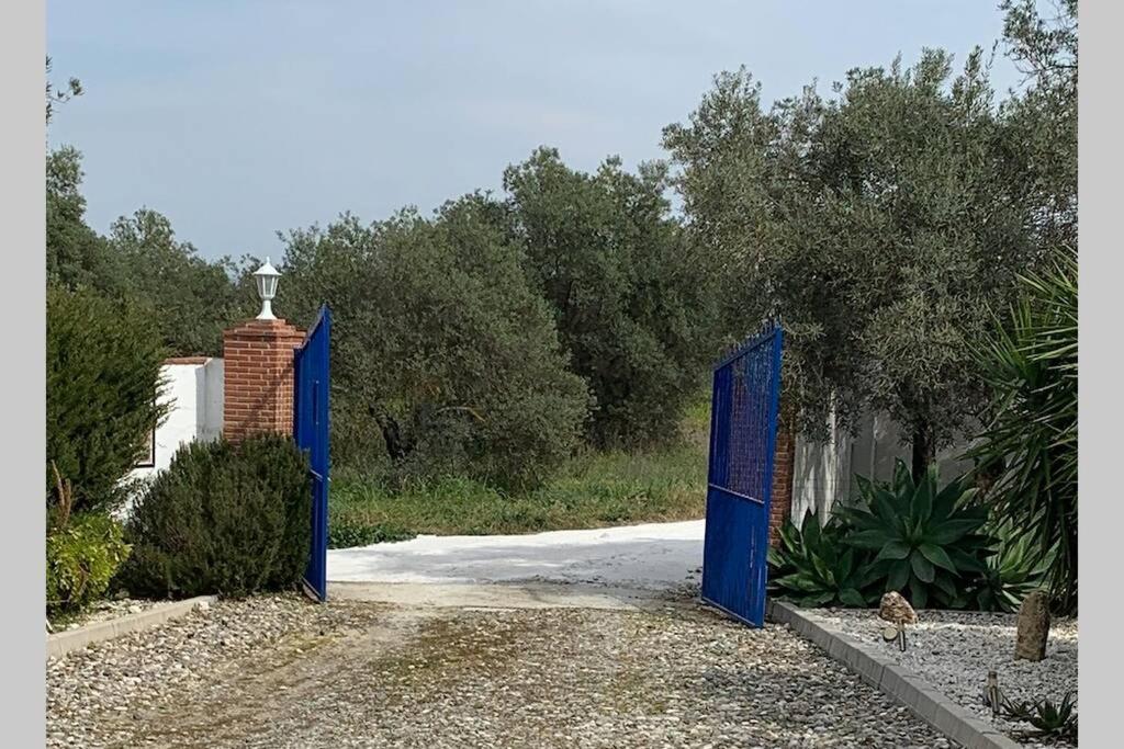 Casa Mici Casa vacanze